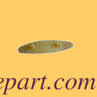 تويوتا إير جيت أجزاء الخشب، لوحة، جاك ليف، J2120-12010-00،JE416-03399